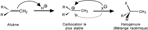 Reaction hydracide markovnikov.gif