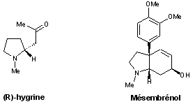 Alcaloides pyrrollidines.gif