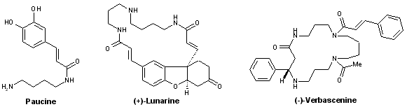 Alcaloides putrescines spermidines spermines.gif