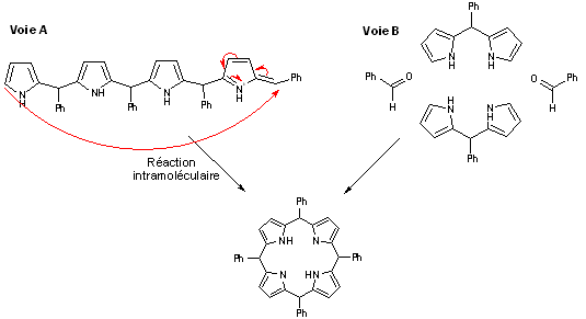 TPP voies possibles.gif