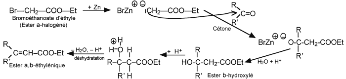 Organozinciques reaction reformatsky.gif