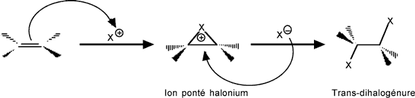 Reaction dihalogene markovnikov.gif
