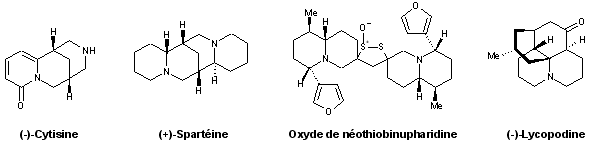 Alcaloides quinolizidines.gif