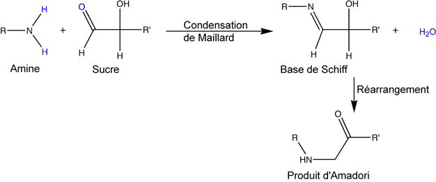 Réaction de Maillard et réarrangements.