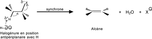 Reaction beta-elimination 2 synchrone.gif