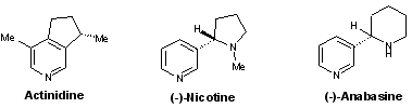 Alcaloides pyridines.gif