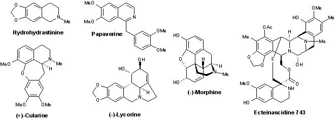 Alcaloides isoquinolines.gif