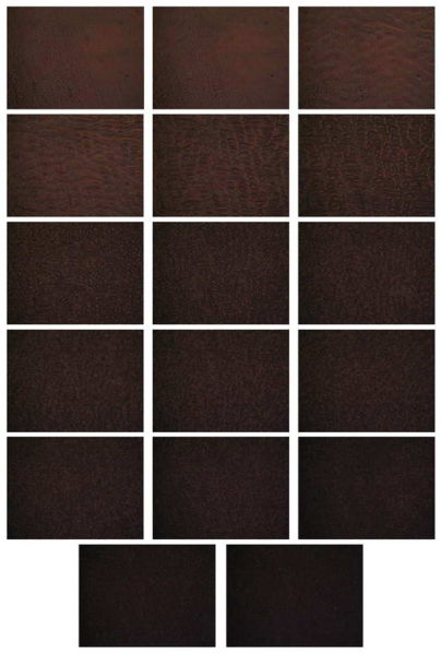 Fichier:Affichage cristaux liquides 20.jpg