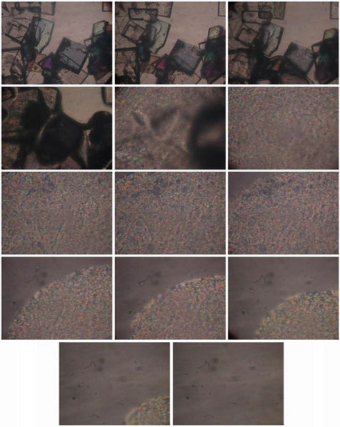 Fichier:Benzoate cholesteryle chauffage.jpg